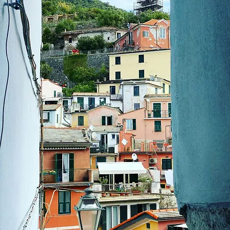 Living 5 Terre